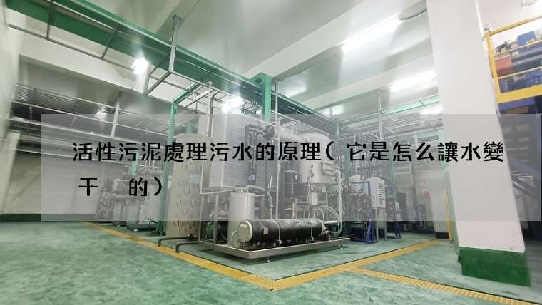 活性污泥處理污水的原理(它是怎么讓水變干凈的)